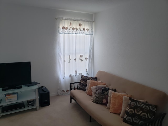 sitting room featuring carpet