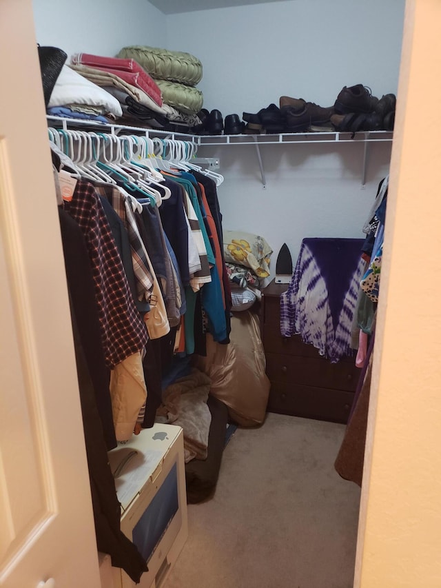 spacious closet featuring carpet flooring