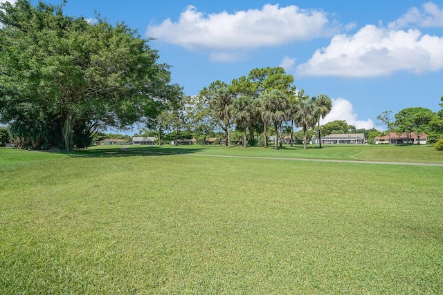 view of community featuring a yard