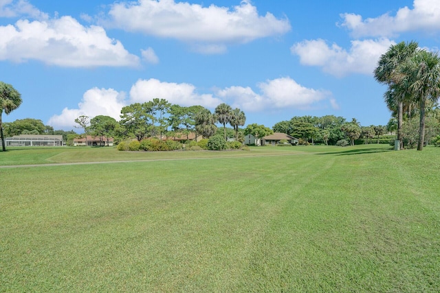 view of community with a yard