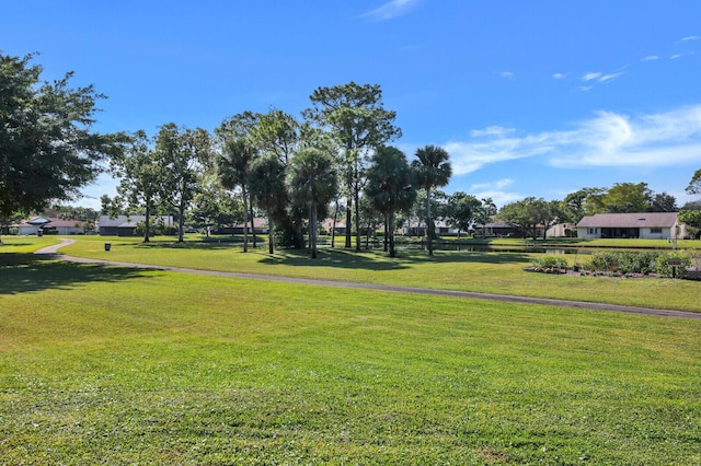 surrounding community featuring a yard