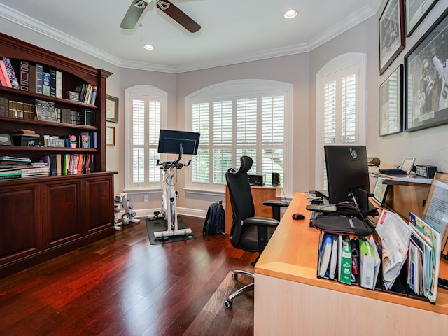 office featuring dark hardwood / wood-style floors, ceiling fan, and ornamental molding