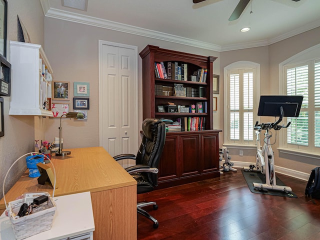 office area with dark hardwood / wood-style flooring, ceiling fan, and crown molding