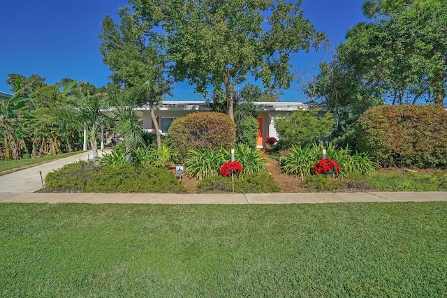 view of front of home with a front yard