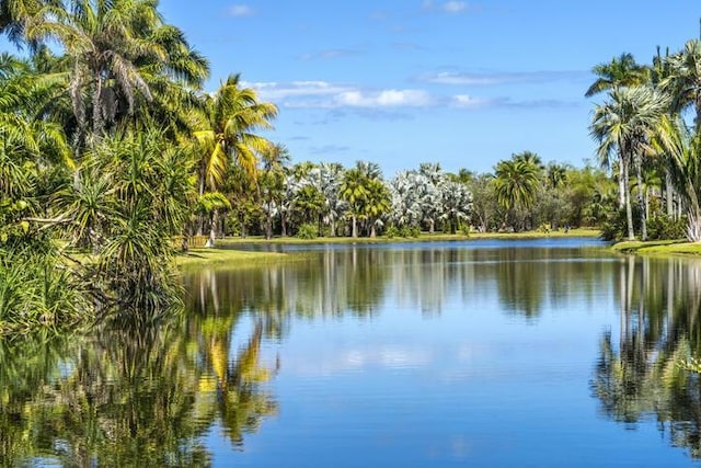 water view