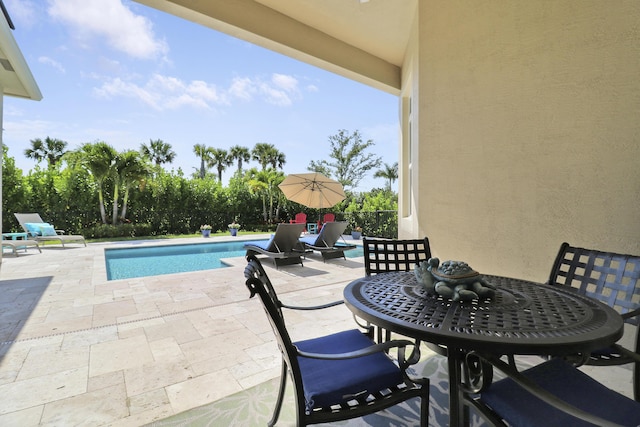 view of pool featuring a patio area