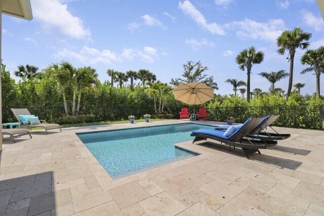 view of swimming pool featuring a patio