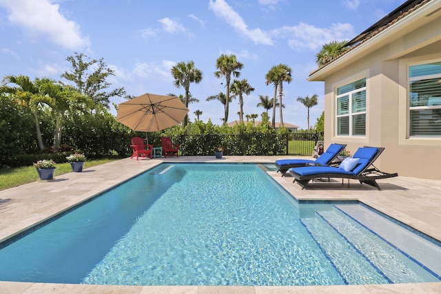 view of swimming pool with a patio