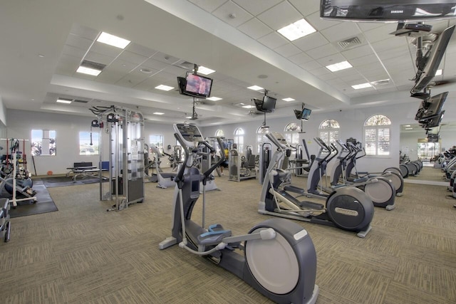 workout area featuring a drop ceiling and carpet floors