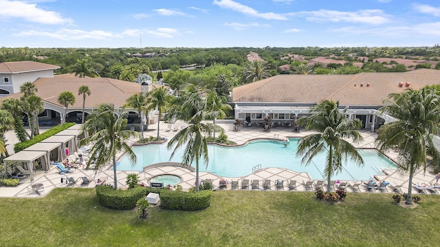 view of swimming pool featuring a patio area and a lawn