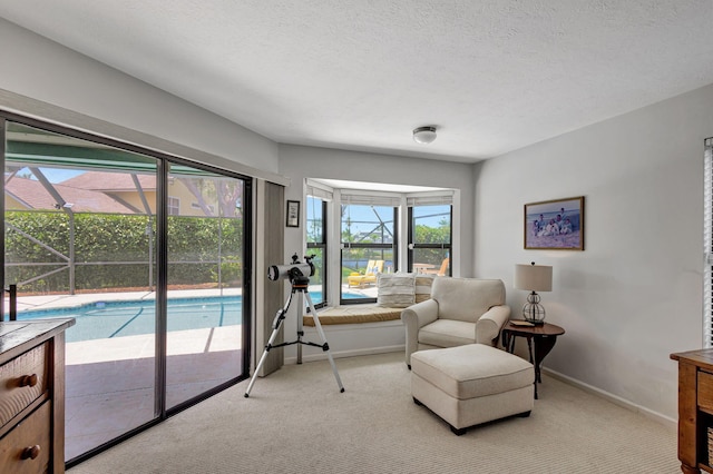 living area with light colored carpet and a textured ceiling