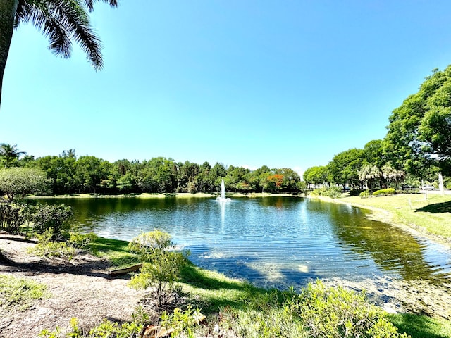 view of water feature