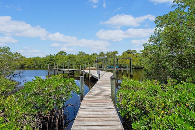 dock area featuring a water view