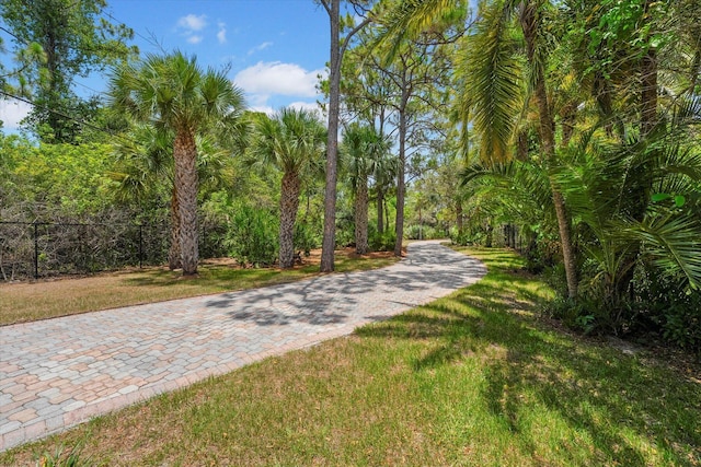 view of community with a yard