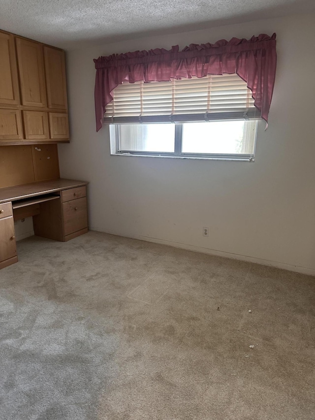 interior space featuring light colored carpet, a textured ceiling, and a healthy amount of sunlight