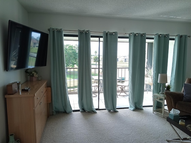 doorway featuring light colored carpet and a textured ceiling