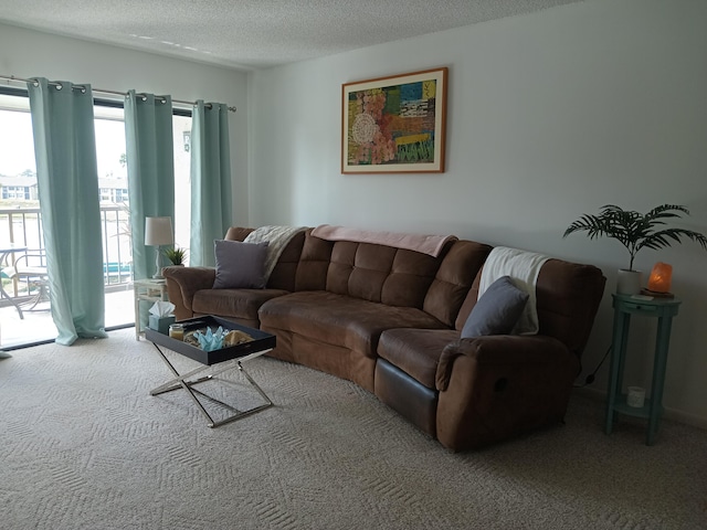 living room with carpet flooring and a textured ceiling