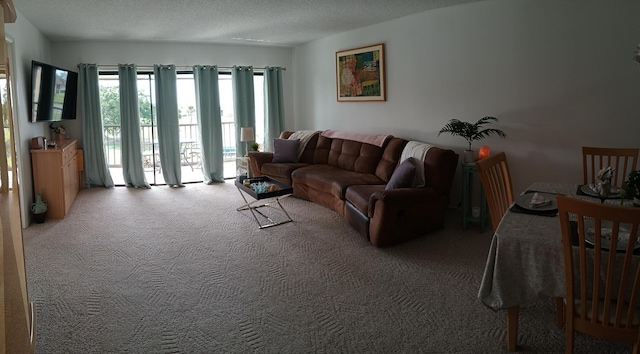 living room with carpet flooring and a textured ceiling