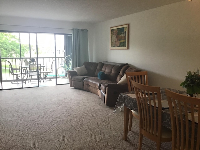 living room with carpet