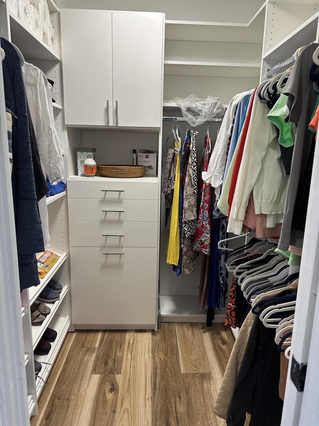 spacious closet with wood-type flooring