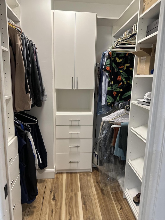 spacious closet featuring light hardwood / wood-style flooring