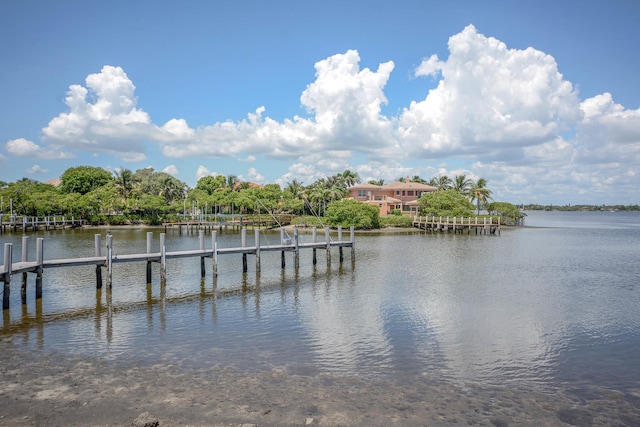 dock area with a water view