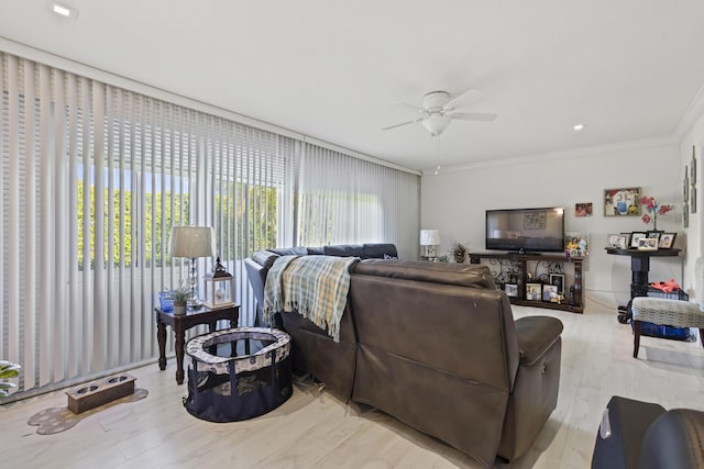 living room featuring light hardwood / wood-style floors, ceiling fan, and crown molding