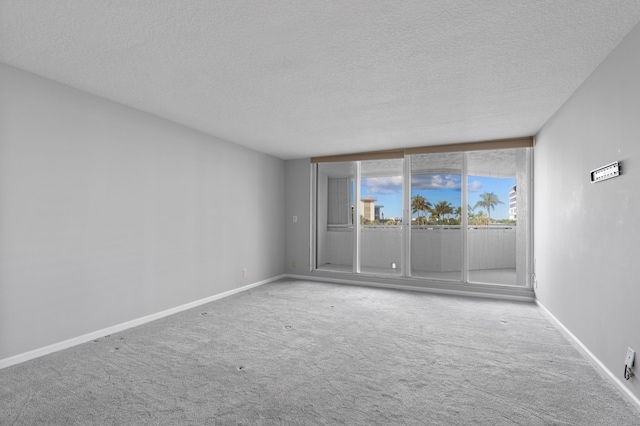 unfurnished room with carpet flooring and a textured ceiling