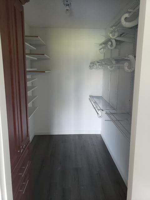 spacious closet with dark hardwood / wood-style flooring