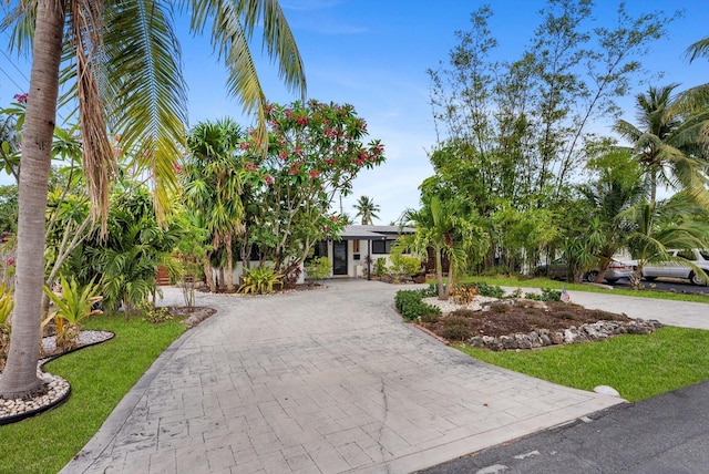 view of front of home featuring a front lawn