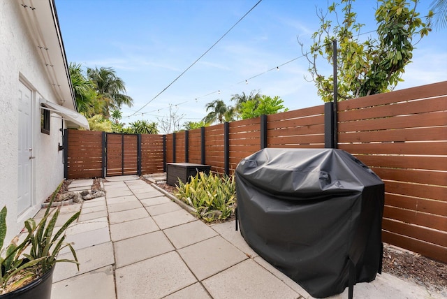 view of patio / terrace with area for grilling