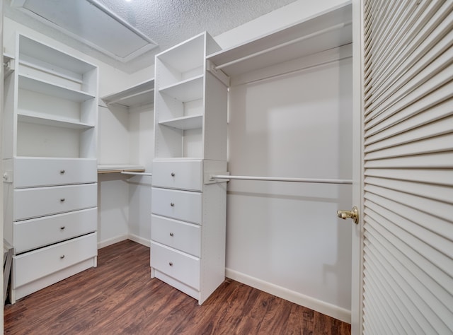 walk in closet featuring dark hardwood / wood-style floors