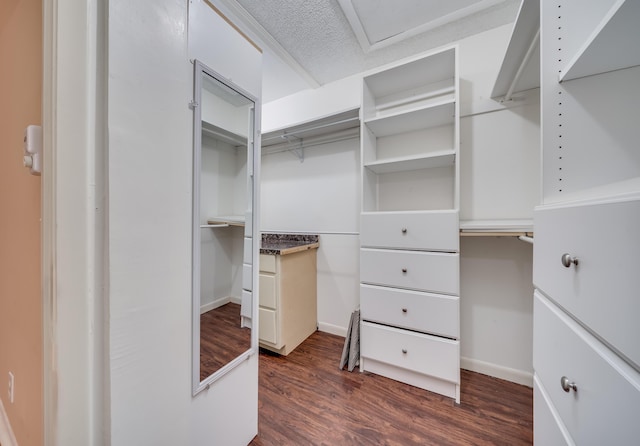 walk in closet featuring dark hardwood / wood-style flooring