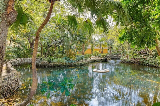 view of water feature featuring a garden pond