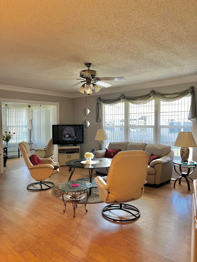 living room featuring crown molding, light hardwood / wood-style flooring, and a textured ceiling