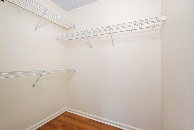 spacious closet featuring wood-type flooring