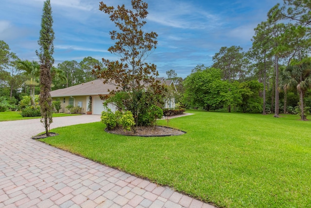 view of front of home featuring a front yard