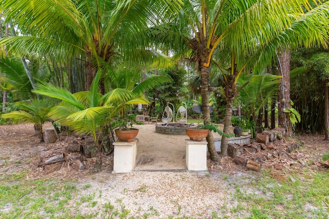 view of yard with a patio