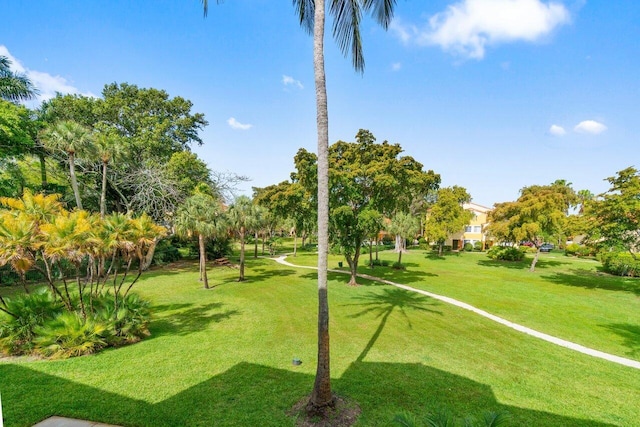 127 Yacht Club Way Unit 206, Hypoluxo, FL 33462 - view of home's community featuring a yard