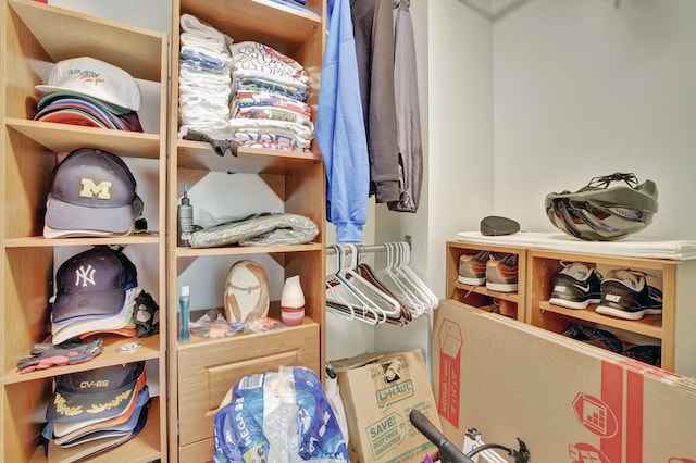 view of walk in closet