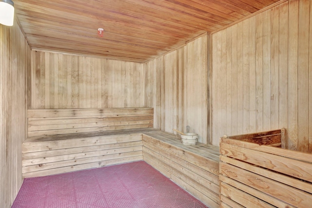 view of sauna / steam room featuring wood walls and wood ceiling