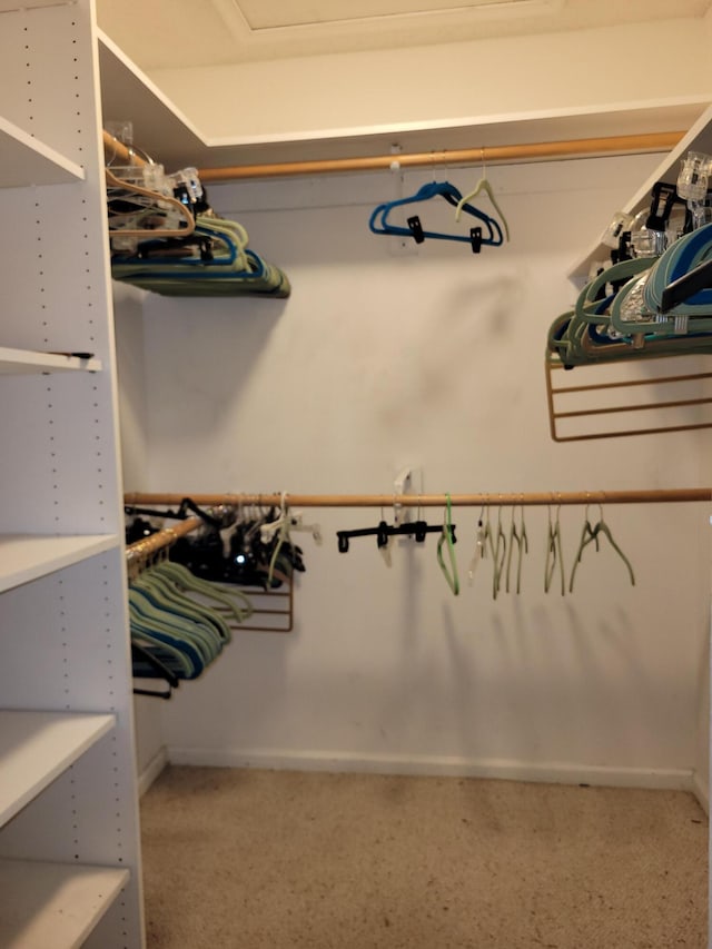 view of spacious closet