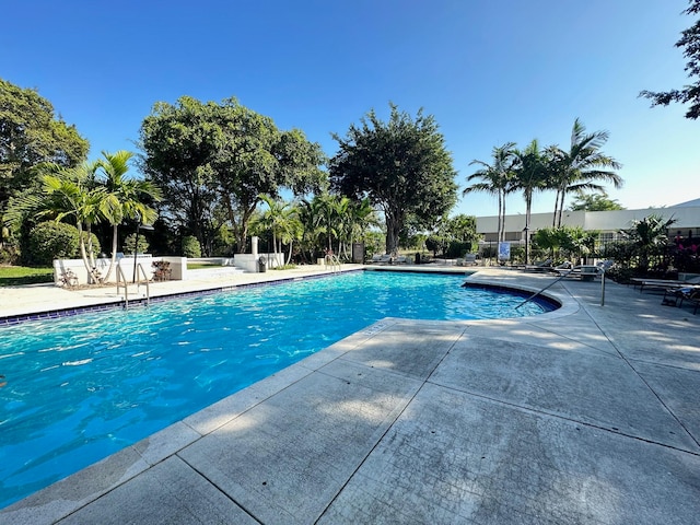 view of pool featuring a patio area