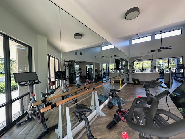 gym with high vaulted ceiling, hardwood / wood-style flooring, and ceiling fan