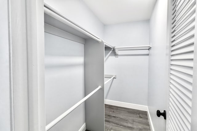 spacious closet with hardwood / wood-style floors