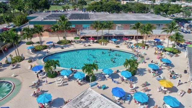 view of swimming pool