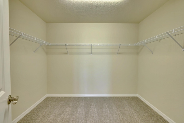 walk in closet featuring carpet flooring