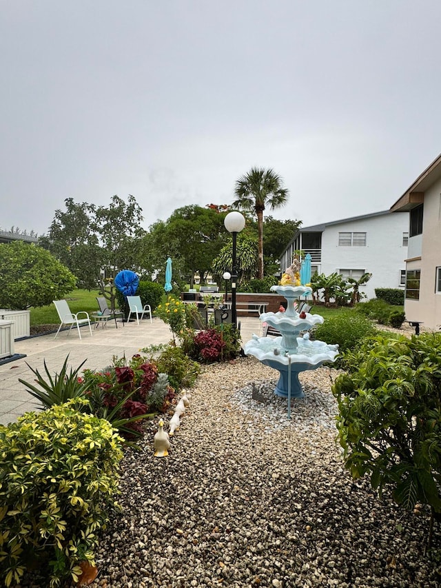 view of yard featuring a patio