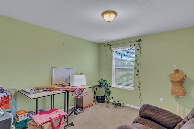 game room with carpet flooring and a textured ceiling