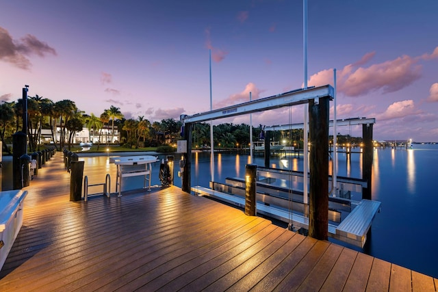 dock area with a water view